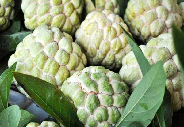 Tuyệt đối không ăn 7 loại quả này nếu không muốn bị mụn mùa hè